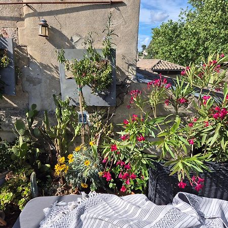Un Nid Sur Les Toits Face Au Palais Des Papes Leilighet Avignon Eksteriør bilde