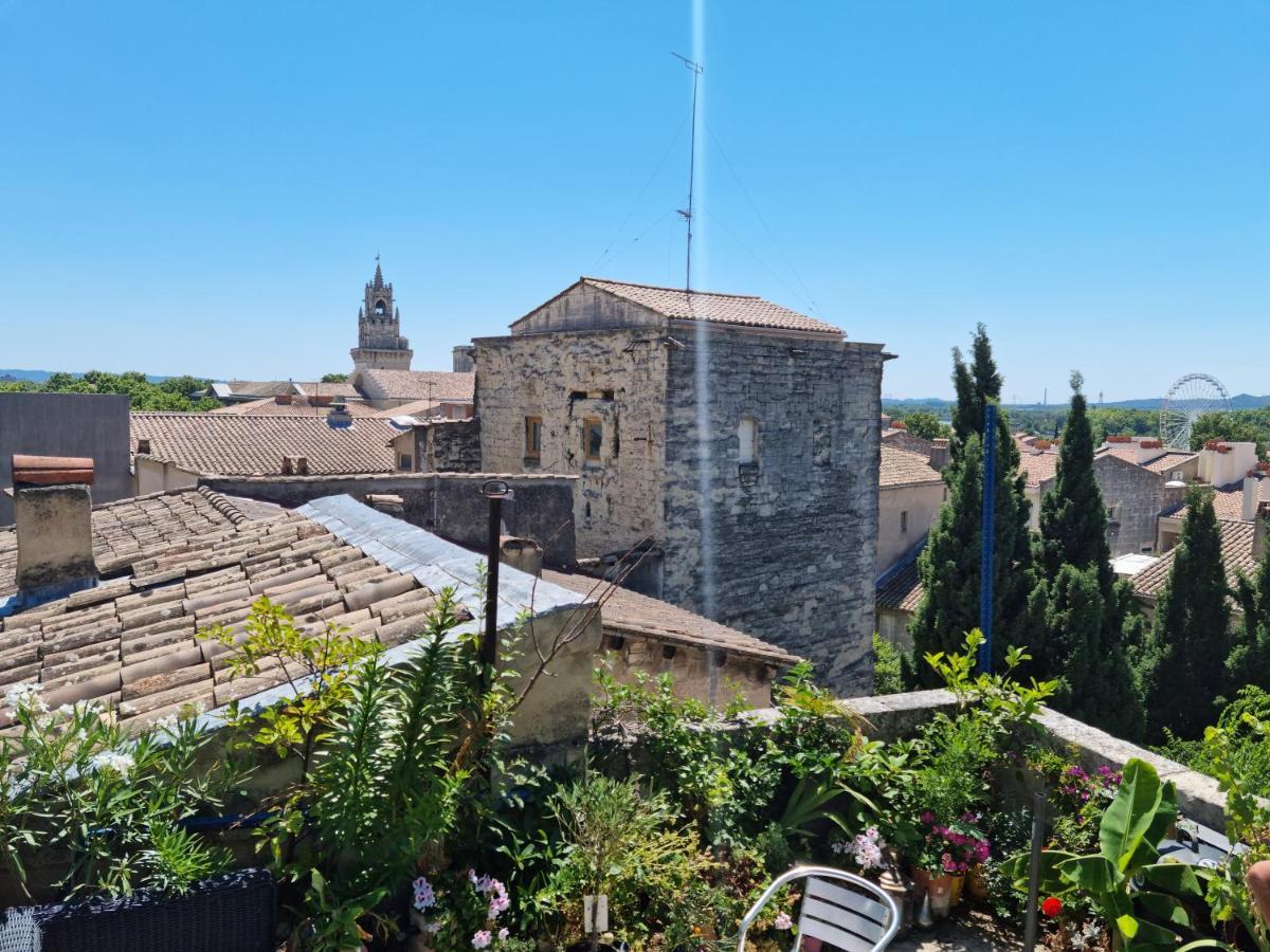 Un Nid Sur Les Toits Face Au Palais Des Papes Leilighet Avignon Eksteriør bilde