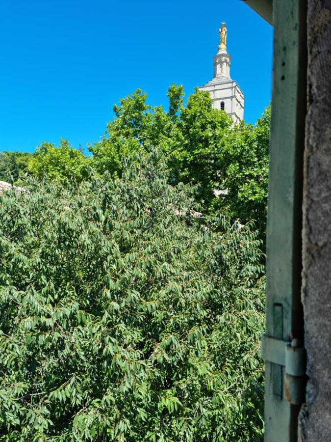 Un Nid Sur Les Toits Face Au Palais Des Papes Leilighet Avignon Eksteriør bilde