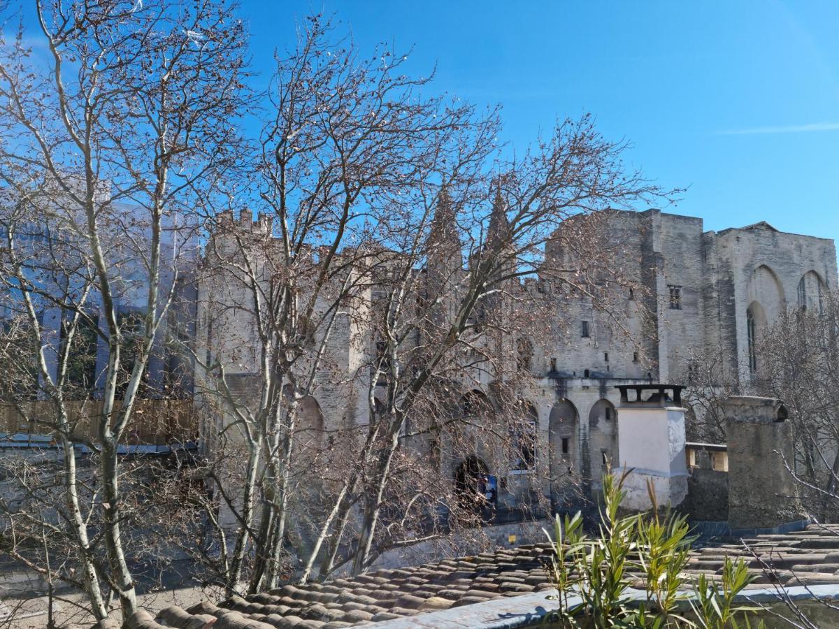 Un Nid Sur Les Toits Face Au Palais Des Papes Leilighet Avignon Eksteriør bilde