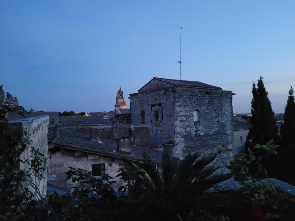 Un Nid Sur Les Toits Face Au Palais Des Papes Leilighet Avignon Eksteriør bilde