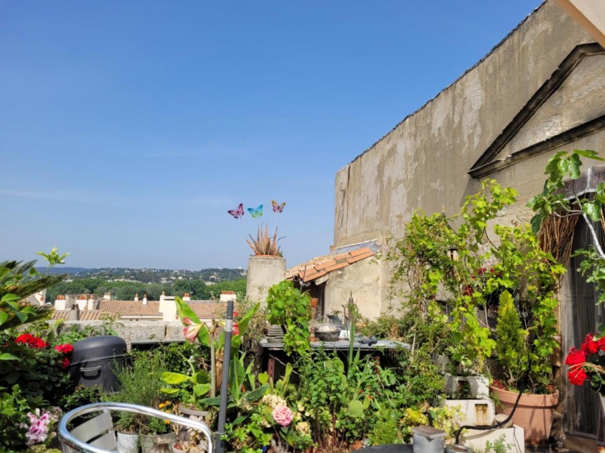 Un Nid Sur Les Toits Face Au Palais Des Papes Leilighet Avignon Eksteriør bilde