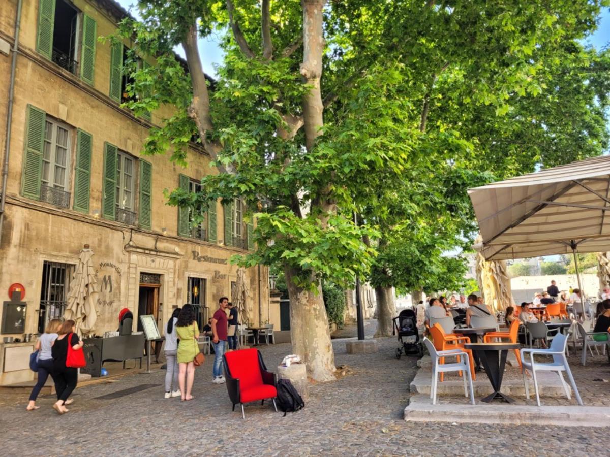 Un Nid Sur Les Toits Face Au Palais Des Papes Leilighet Avignon Eksteriør bilde