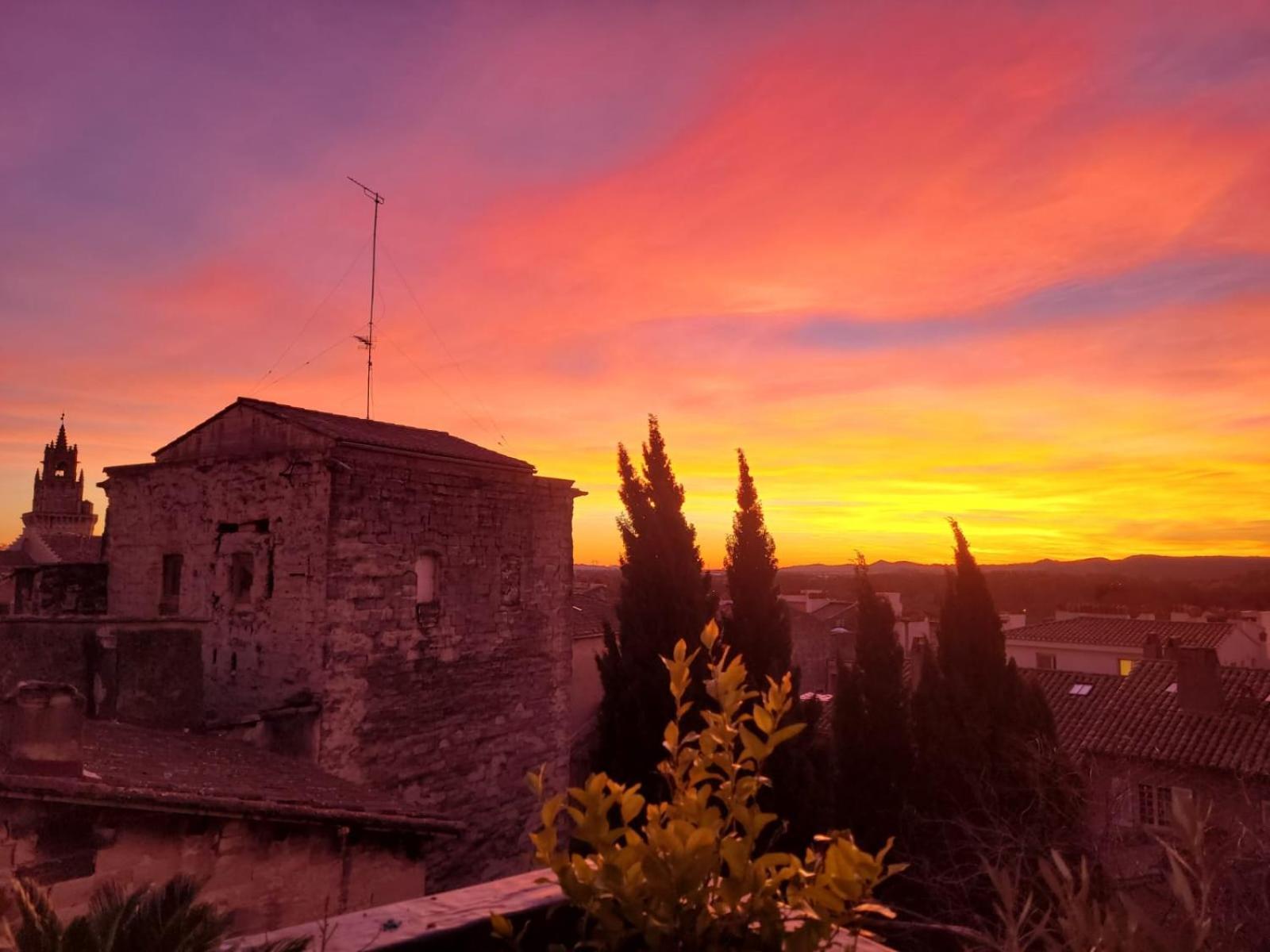 Un Nid Sur Les Toits Face Au Palais Des Papes Leilighet Avignon Eksteriør bilde